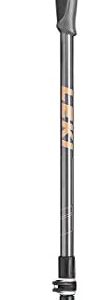 LEKI Wanderfreund Speedlock Trekking Pole